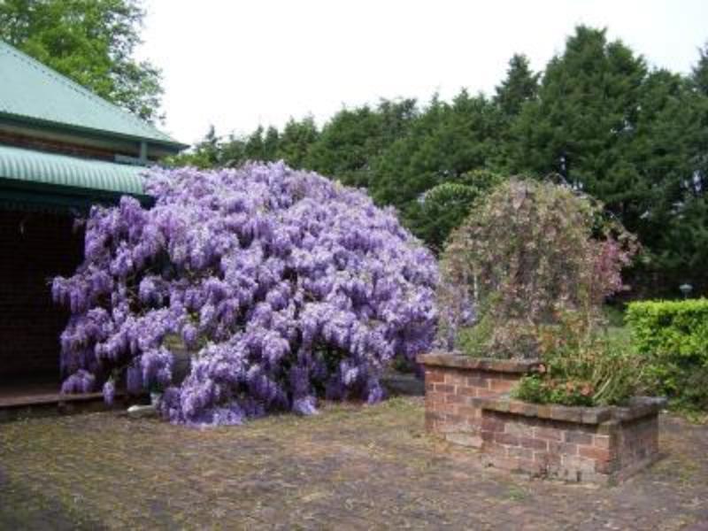 Heronswood House B & B Moss Vale Exteriér fotografie